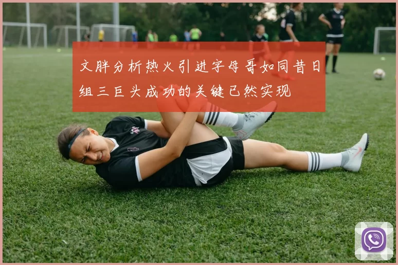 文胖分析热火引进字母哥如同昔日组三巨头成功的关键已然实现